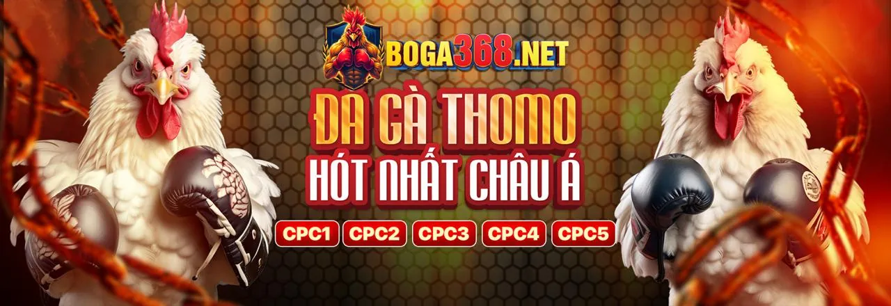 Đá gà LVS788 trực tuyến
