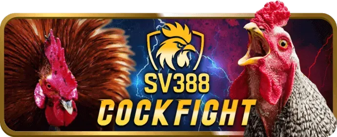 Hướng dẫn chơi đá gà LVS788